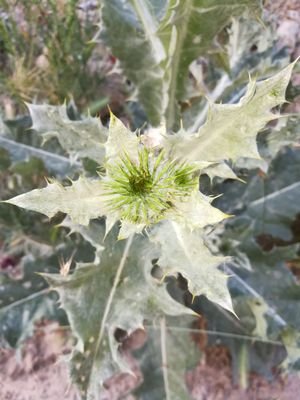 Lostintransiti6's profile picture. Reading, sports and music