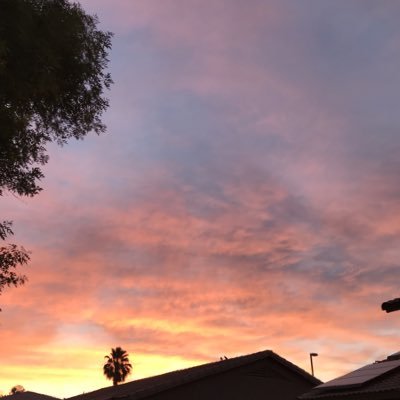 payrollbetty's profile picture. Super interested in all things HCM - HR, Payroll, WFM