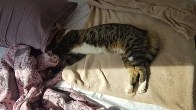 Batcave691's profile picture. sleeeeeeepy