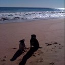 Karen Cave - @Karen99Cave - Twitter