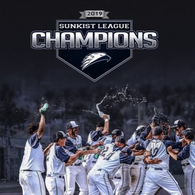 SummitBaseball Profile Picture