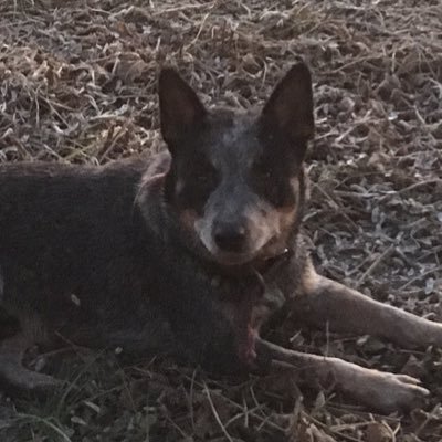 goni_guillermo's profile picture. Trato de ser agrónomo, trato de ser productor, trato de ser padre y esposo. A veces fallo