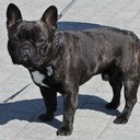 Luis Oduber - @ARU3080 - Twitter