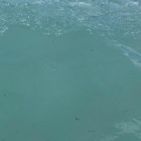 ;) (@bgrillzzz) 's Twitter Profile