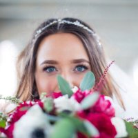 Annie Cro (@anniecronen) 's Twitter Profile