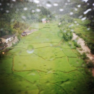 oneshao1's profile picture. jumpman