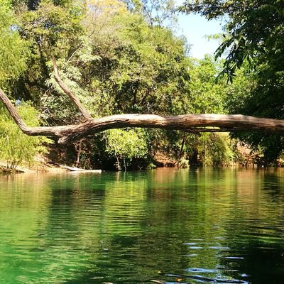 ronaldvillato11's profile picture. Luchador empedernido!