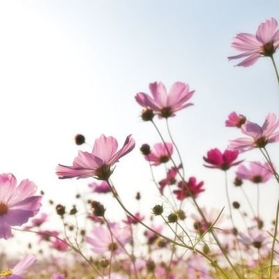 I have #chronicillness, #ME/CFS, #MCS, #migraines.I hope 2 find a way 2 have #artificialfragrance air products legally banned from public buildings & vehicles.