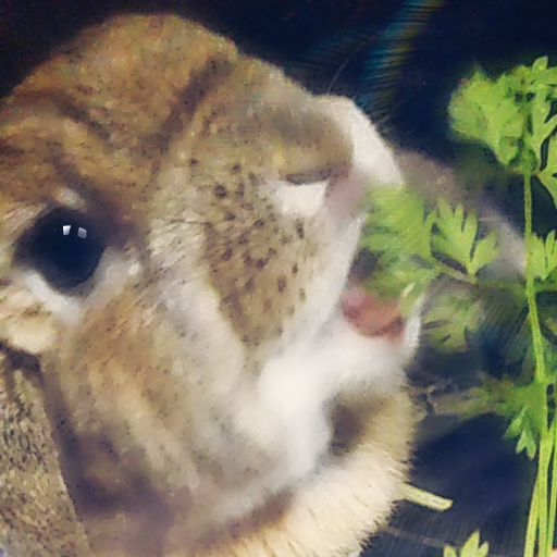 うさぎのタピオカ。さんのプロフィール画像