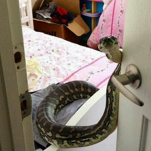 madmanrequiem's profile picture. 