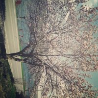 Philip Dexter (@philipanddexter) 's Twitter Profile