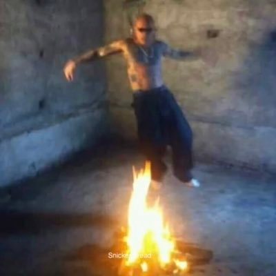 kmsmeech's profile picture. k onda perro