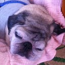 Aya Yoshida - @aya_bell - Twitter