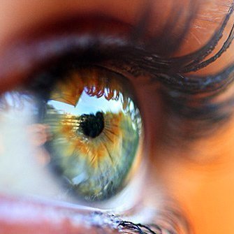 svinothvasan's profile picture. 