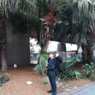 Maxwell_fox's profile picture. 自分の夢