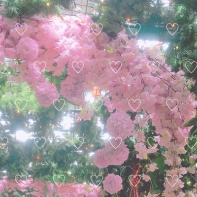すぴさんのプロフィール画像