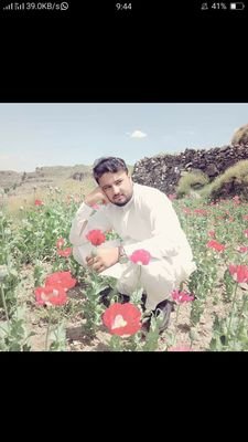 IbadUllahJan3's profile picture. Physics student