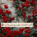 ابـــونـــايـــف (@8uwjqb7qbwjnvax) Twitter profile photo ابـــونـــايـــف (@8uwjqb7qbwjnvax) Twitter profile photo