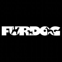 officialfurdog(@officialfurdog) 's Twitter Profile Photo