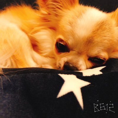 diaya411's profile picture. nagasaki➫fukuoka Ns🏥💉🚑