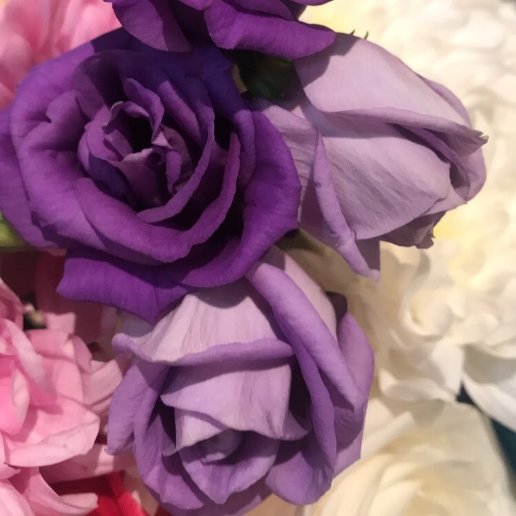 ستفرج حتمًا من حيث لا أعلم 💜🕊