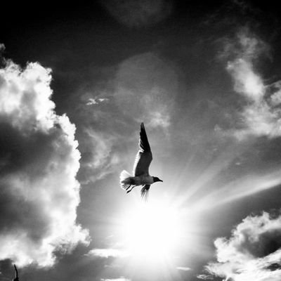 FoFo022vg's profile picture. No questions no answers just see the world through my eyes..🖤🖤