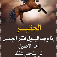 مساج مصري (@cchcvh) 's Twitter Profile