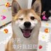 阿泽 (@kenjun99) Twitter profile photo 阿泽 (@kenjun99) Twitter profile photo