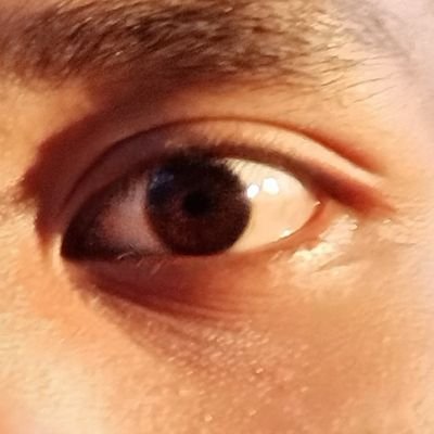 Pingin bikin puisi tpi ayas ogeb