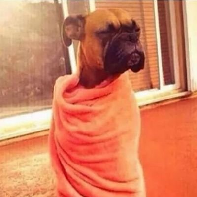 Src_Enum's profile picture. random thoughts 🤞🏻