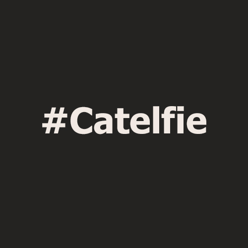 catelfie's profile picture. 