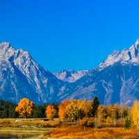 osama (@lya4yygwehaem1p) Twitter profile photo