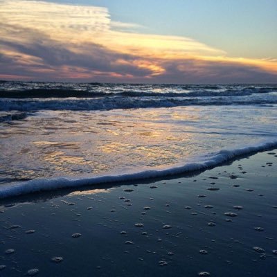 mslahm's profile picture. 