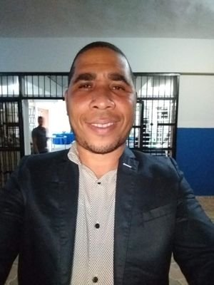 Ingeniero Mecanico; Empleado Privado (Sector Generación de Energía Eléctrica).
Catedrático Universitario.
Presidente de la Regional Sureste CODIA, 2019-2020.