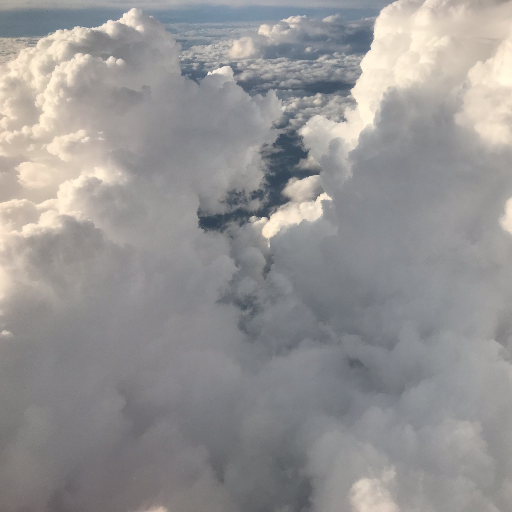 artnotepad's profile picture. 