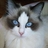 natonato73's profile image