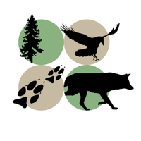 Cascadia Wild (@cascadia_wild) 's Twitter Profile