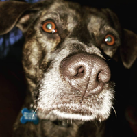 jason imler (@jasonimler) 's Twitter Profile