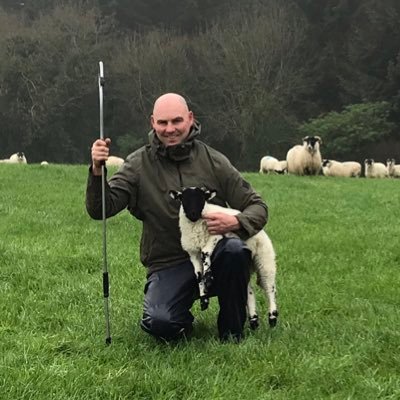 Breeding Scottish Blackface (Perth Type) & Pedigree Texels @ Glendalligan Co.Waterford 🇮🇪. also on Facebook & instagram