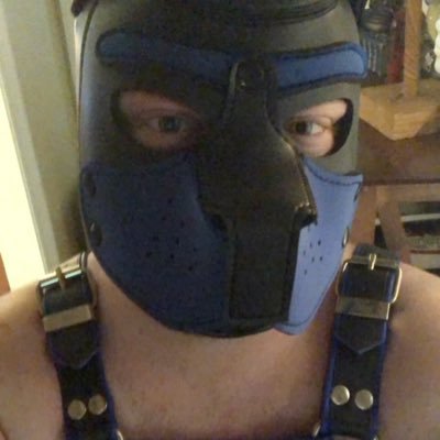 Sboy1M's profile picture. | certified gooner | NSFW 18+ | speak 🇺🇸 & 🇩🇪