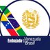 Venezuela en Brasil (@EmbajadaVE_BR) Twitter profile photo