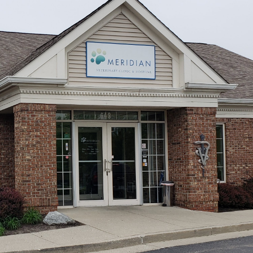 The Meridian Veterinary Clinic & Hospital provides the highest quality pet health-care, making tails wag and people smile.