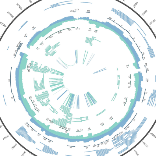 Tibbetts_Lab's profile picture. viruses. cancer. noncoding RNAs.