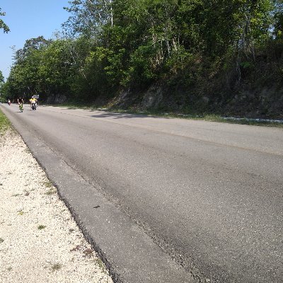 Mo11Dan's profile picture. Hello