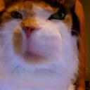 Donna Wise - @dwiseer1 - Twitter