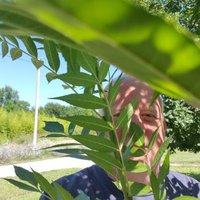 Fernando Bugallo (@fgbugallo) 's Twitter Profile