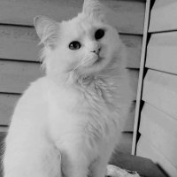 haileyinmay7 (@haileyinmay7) 's Twitter Profile