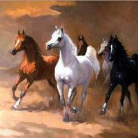 AhmadSalem (@ahmadsa33897198) 's Twitter Profile