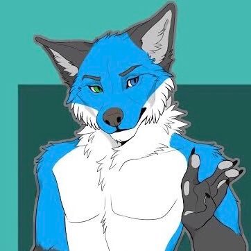 FoxToku's profile picture. Its the blue fox from Arizona, an aspiring artist and college student