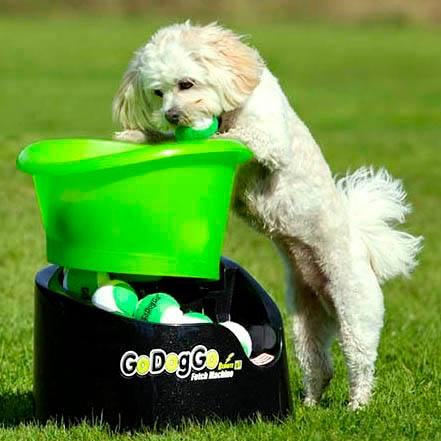 GoDogGo is the World's First Fetch Machine & Original Automatic Ball Launcher Designed for Ball-Crazy Dogs.
Keeping Dogs Happy, Safe & Healthy Since 1999.